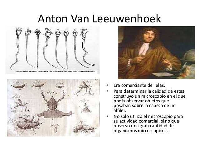 El primer cazador de microbios: Anton Van Leeuwenhoek