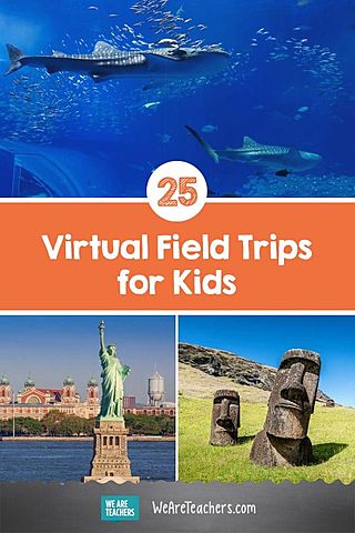 Virtual Field Trips