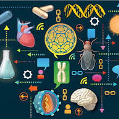 Timeline: 4 periodo biología