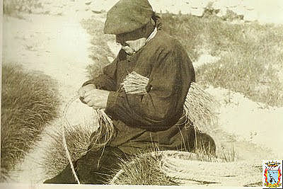 Capacitación Ambulante