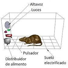 la Caja de skinner