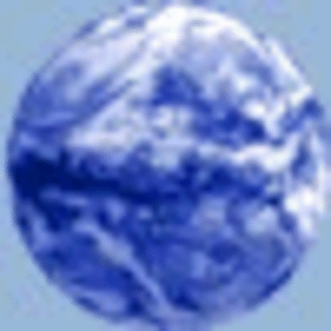 Student Online Gathering Date TBD