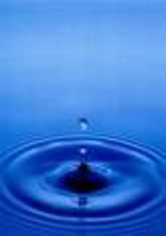 FH Website on Using New Media in a FH Classroom