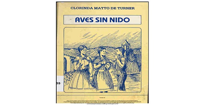 Libro "Aves sin nido".
