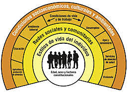 Comisión para Reducir las Desigualdades Sociales en Salud