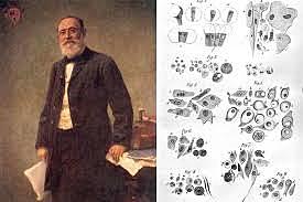 Rudolf  Virchow