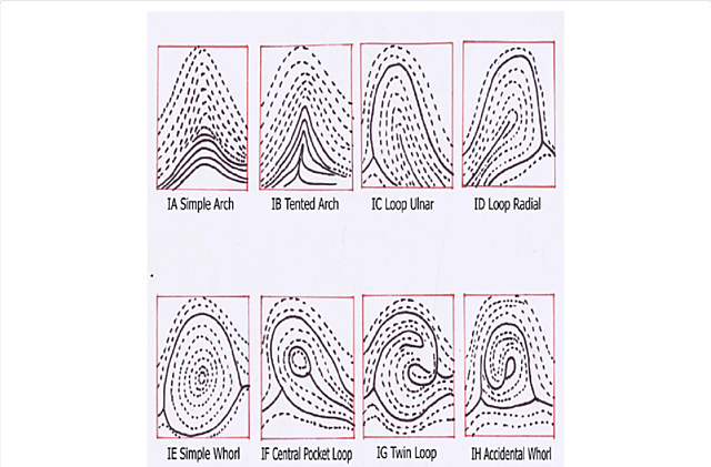 First systematic use of fingerprints