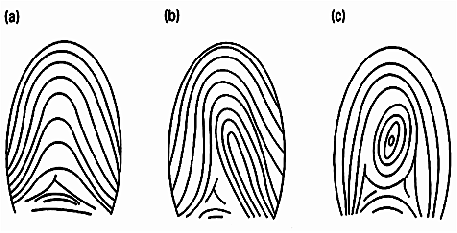 Fingerprints first accepted by U.S. courts as a accurate means of Identification