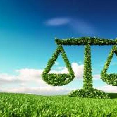 Timeline: La historia del Derecho Ambiental