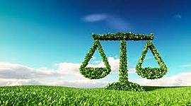 Timeline: La historia del Derecho Ambiental