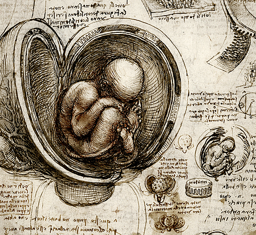 Teorías de la concepción