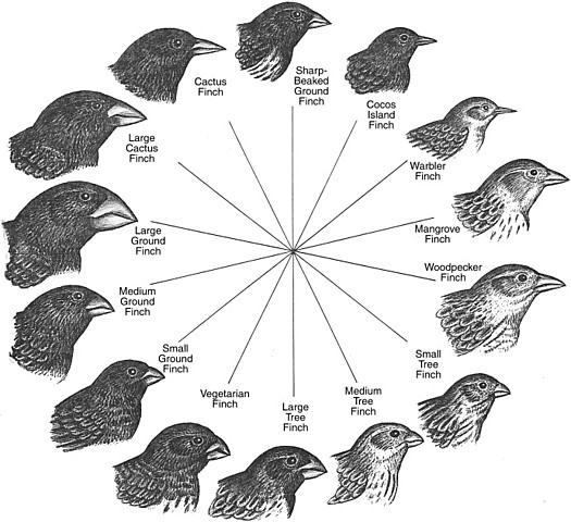 Introduction to Theory