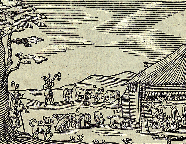 Aparece en Nuremberg el libro " Orbis sensualiam pictus.