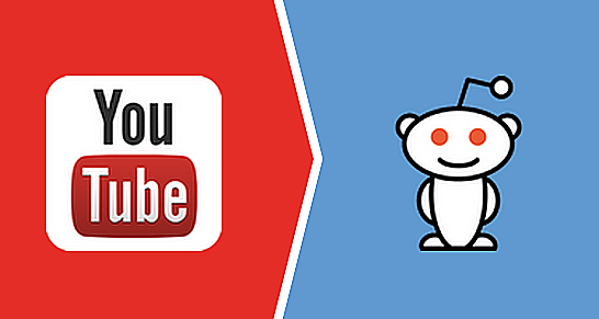 Se crea YouTube, DailyMotion y Reddit.