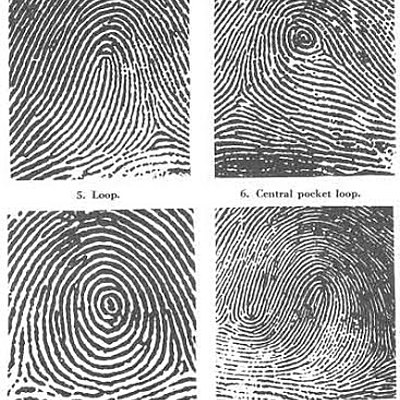 Timeline: Finger Print Timeline Prd 1 Forensic Science