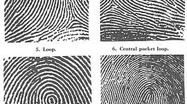 Timeline: Finger Print Timeline Prd 1 Forensic Science