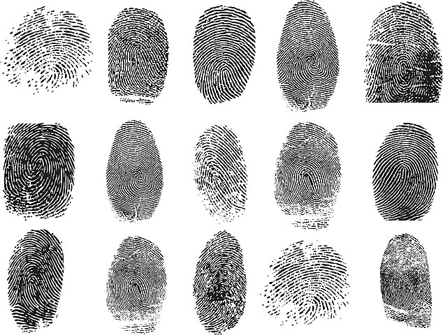 Fingerprint Technology Helps Solve Cold Case Two Decades Later, Perpetrator Sentenced for Kidnapping and Assault
