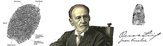 all ten fingerprint impressions were now measured and noted.