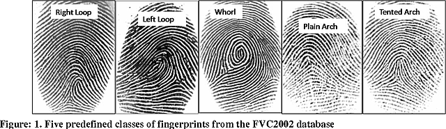 The first system of classifying fingerprints
