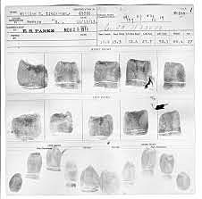 New York State Prison began to use fingerprinting for identification.