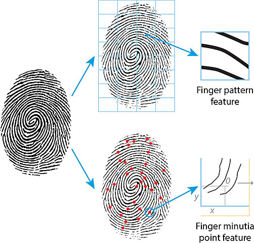 How a single fingerprint led to arrest in cold case murder of elderly woman 31 years later: Officials