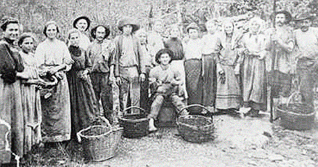 La capacitación ambulante