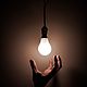 Person holding white light bulb 3651820