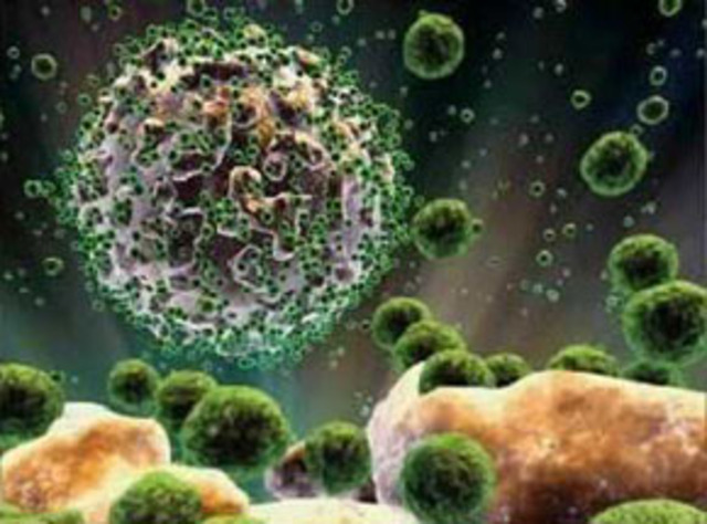 Robert Gallo identifica inhibidores naturales en las células humanas capaces de ralentizar la progresión del VIH (el virus causante del sida)