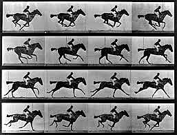 El caballo de Muybridge
