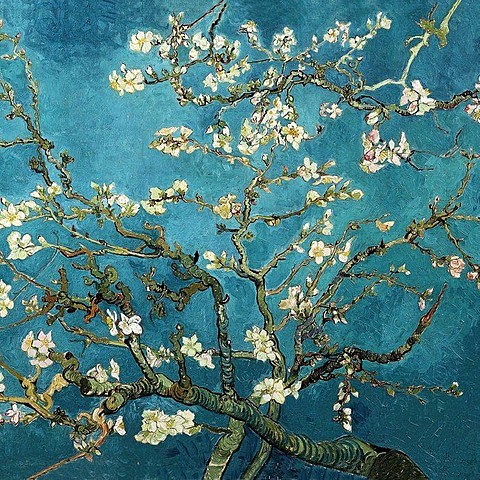Almond Blossoms
