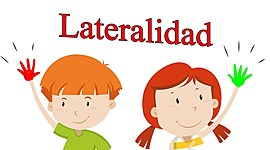 Timeline: LATERALIDAD