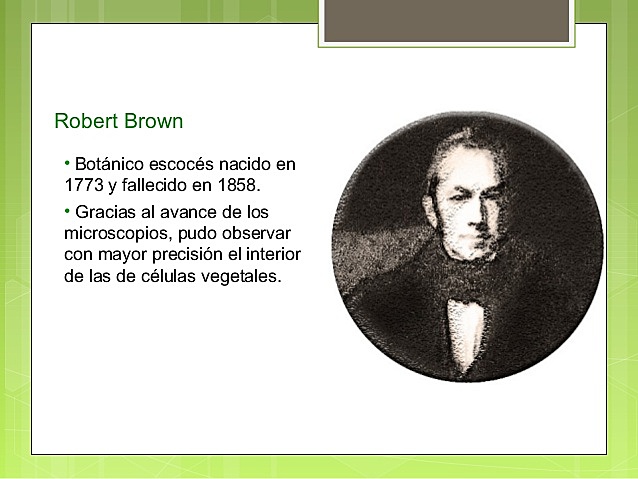 Movimiento browniano: Robert Brown