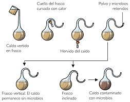 Experimentos: Louis Pasteur