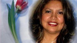 Timeline: Tecnología y Araceli