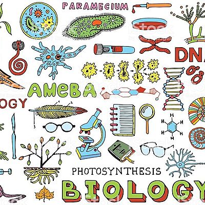 Timeline: IV PERIODO BIOLOGÍA 601