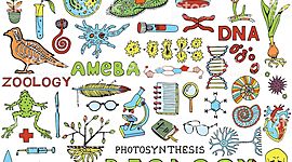 Timeline: IV PERIODO BIOLOGÍA 601