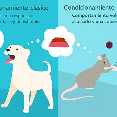 Timeline: Origen y Evolución del Condicionamiento Clásico y  Operante