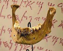 MANDIBULA DE FORD