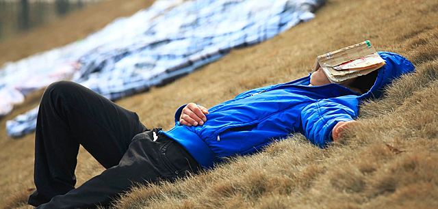 No estudiar durante un año