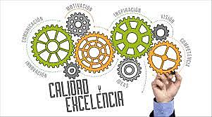 Modelo Iberoamericano de la Calidad