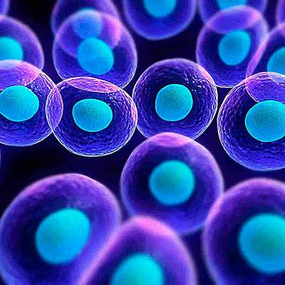 Timeline: Teoria Celular - Gonzalez Gomez Victor Daniel - 375A