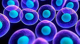 Timeline: Teoria Celular - Gonzalez Gomez Victor Daniel - 375A