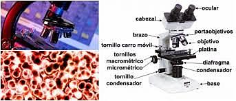 JAMES C. VAN HOUSE Y ARTHUR RICH