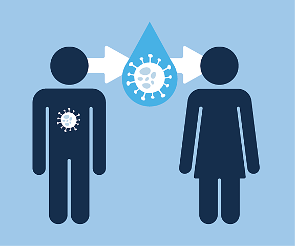 Investigaciones por parte de la OMS