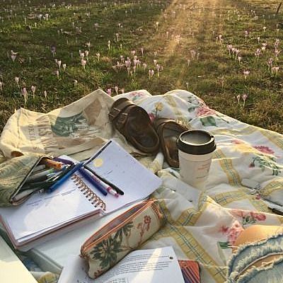 Timeline: Línea de vida