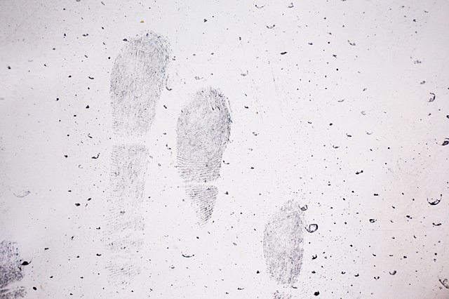 latent fingerprints