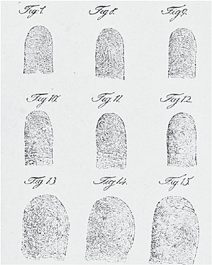 Types of FingerPrints