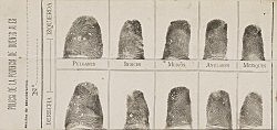 First Fingerprint Investigation