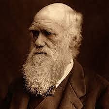 Charles Darwin-Teoria Evolutiva