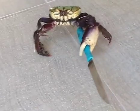 Preparatoria año III: Gamaliel reloaded